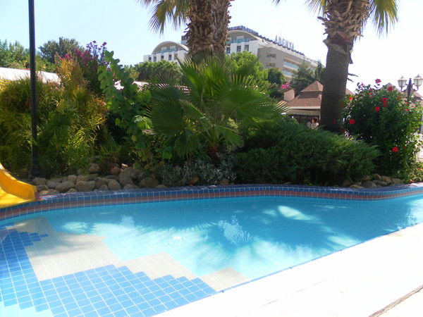 Альфия Камилова