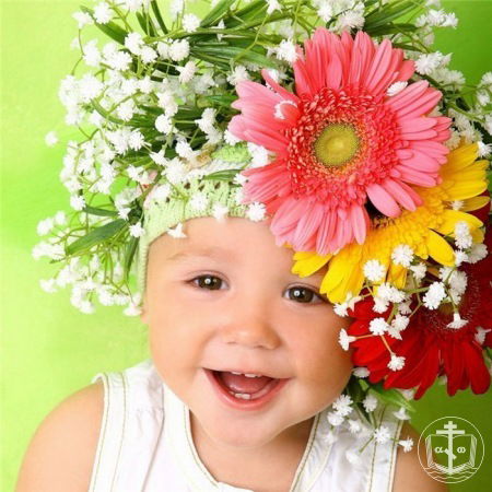 Елена Владимировна