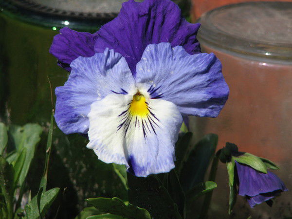 Галина Смирнова