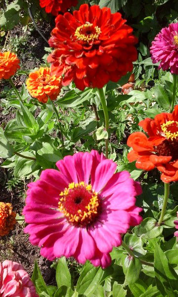 Анна Большакова