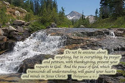 Dima Савченко