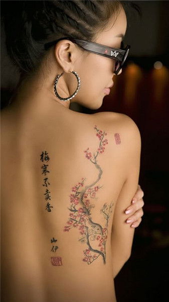 Mikosya Ledy | | Serceedka | |