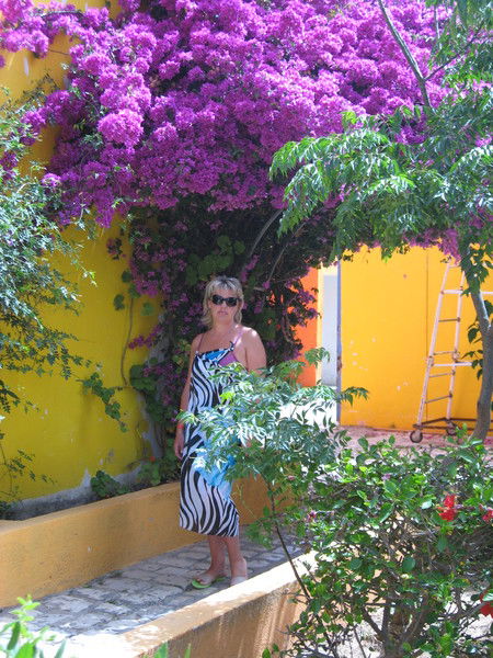 Светлана Родионова