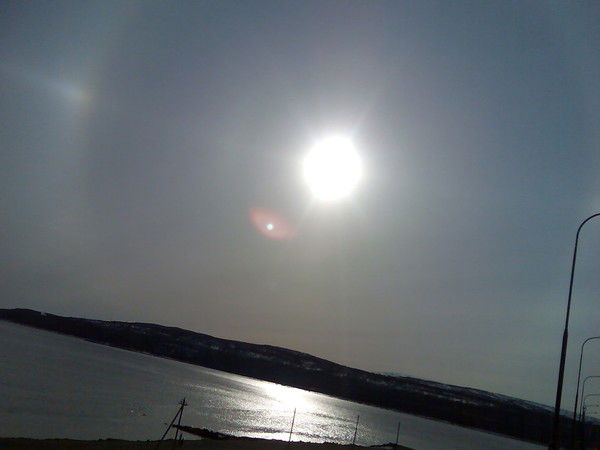 Галина Алексютина