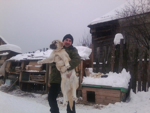 Денис Топоров