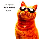 Максим Рогалев