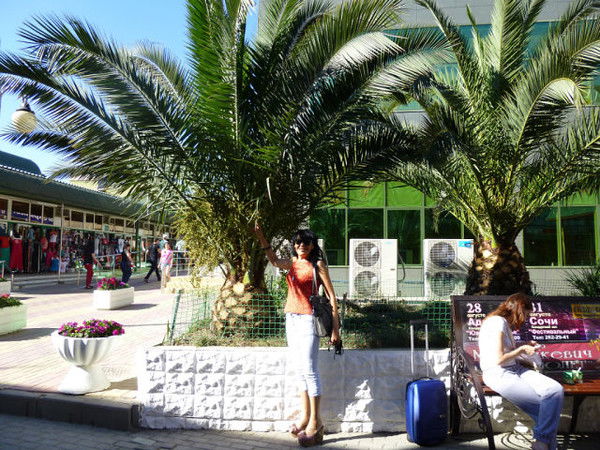 Кема Бакинова