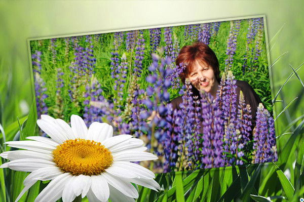 Светлана Романова