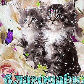 Заира Халитова