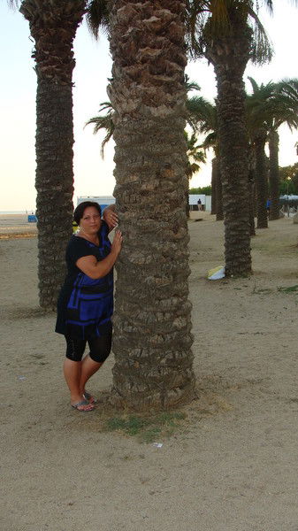 Елена Лиер-Райдер