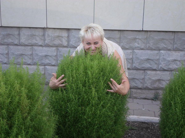 Светлана Караваева