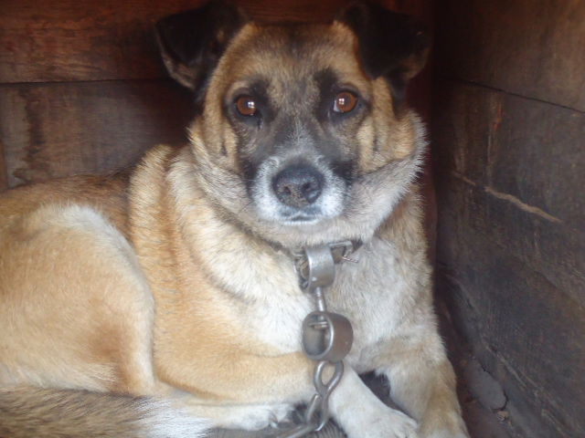 Я Милашка! :)