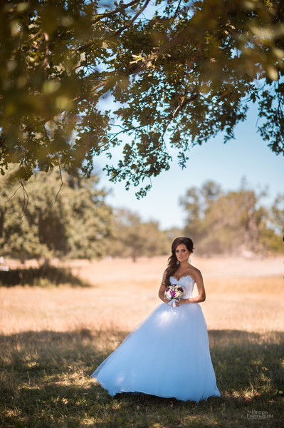 Регина Новикова