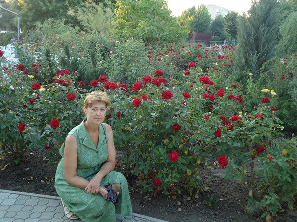 Елена Боровик