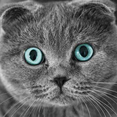 Марсель Тамазов