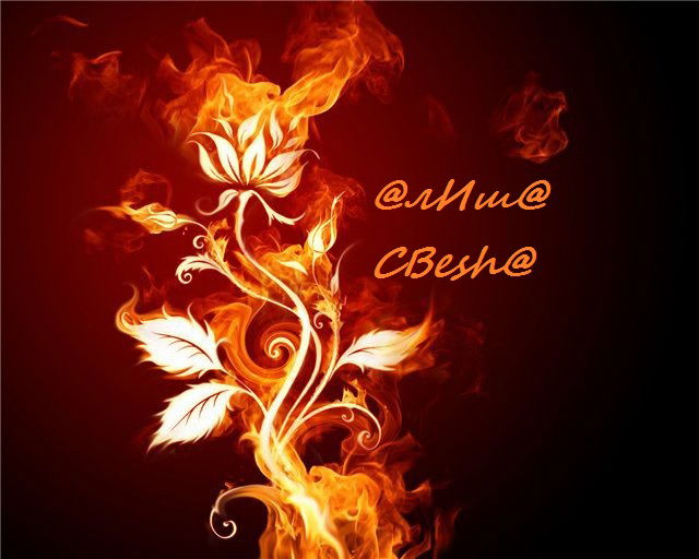 @лиш@ Cbesh@