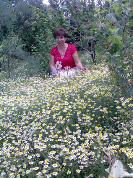 Вера Харитонова