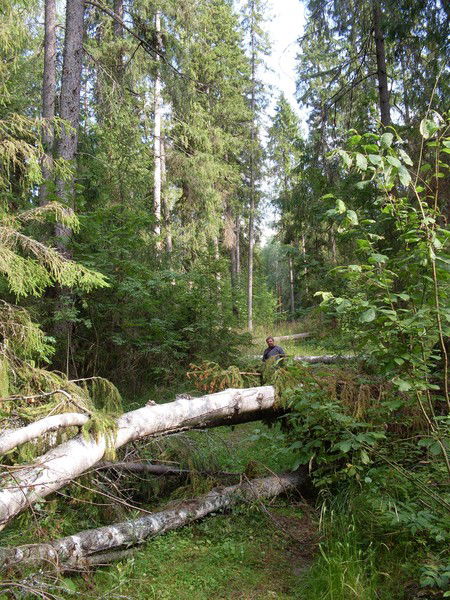 Владислав Панченко