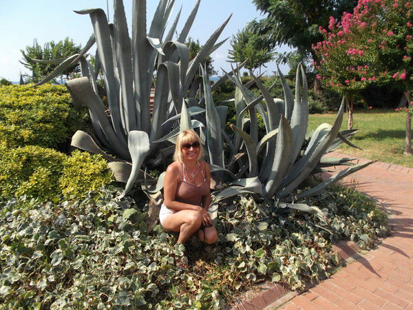 Елена Рахматуллина