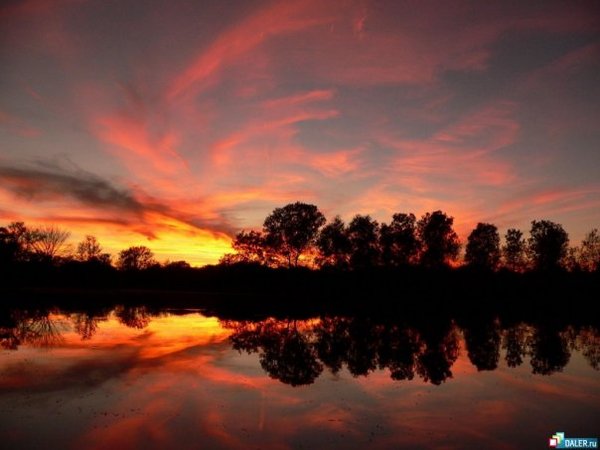 Татьяна Кузмичева