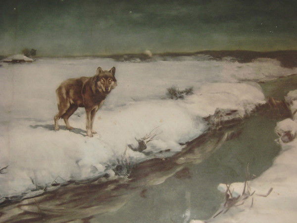 Даниил Кауркин