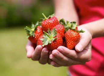 Ляля Жемчужная