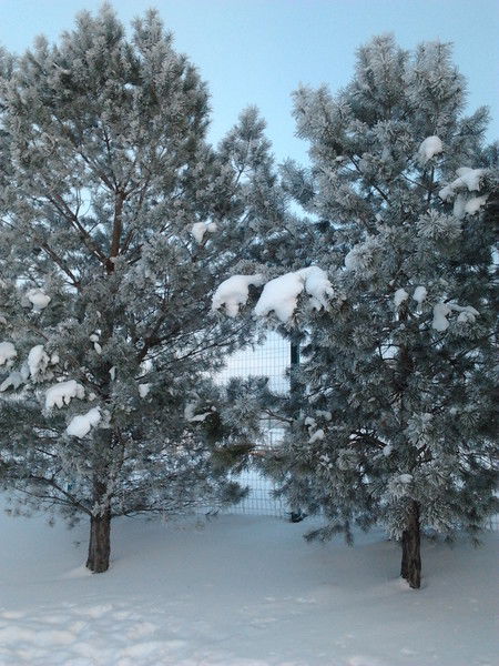 Луиза Маскова