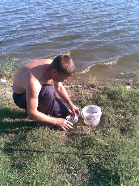 Давид Шпеер