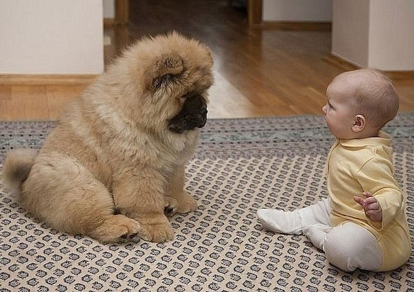 Лаззат Кабиева