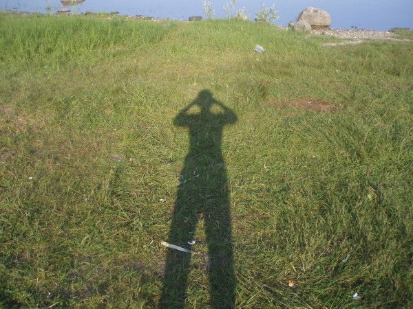 Елена Лобова