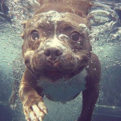 Ростислав Береговой