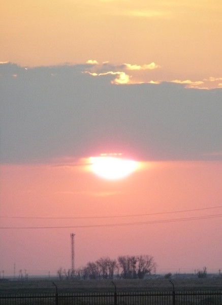 Любовь Лапшина