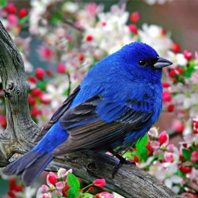 Карина Нурманова