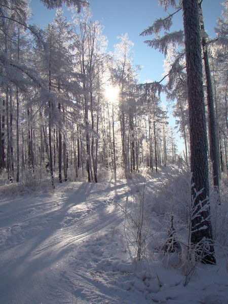 Андрей Свинкин
