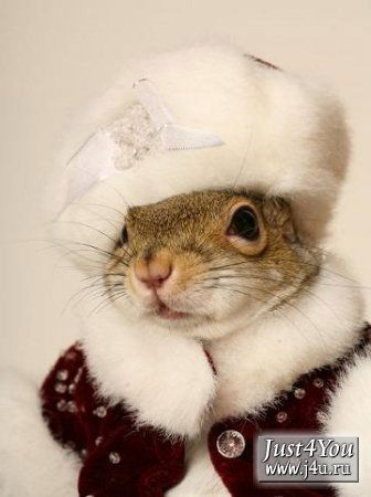 Марина Беляева