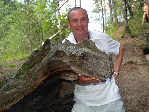 Андрей Ваулин