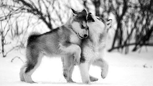 Зомби Ферма .