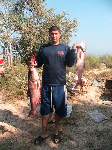 Владимир Хромов