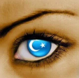 Эльмира Насырова