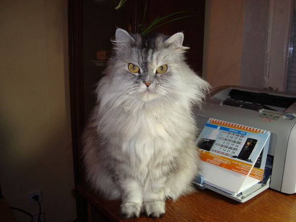 Виктор Юрчик