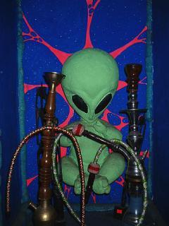 Николай Сидоров