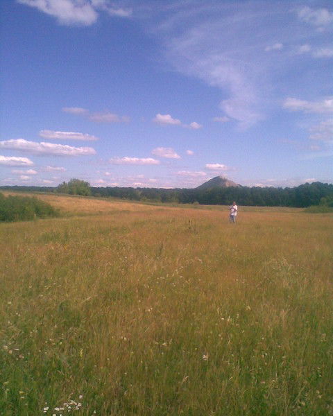 Надежда Любка