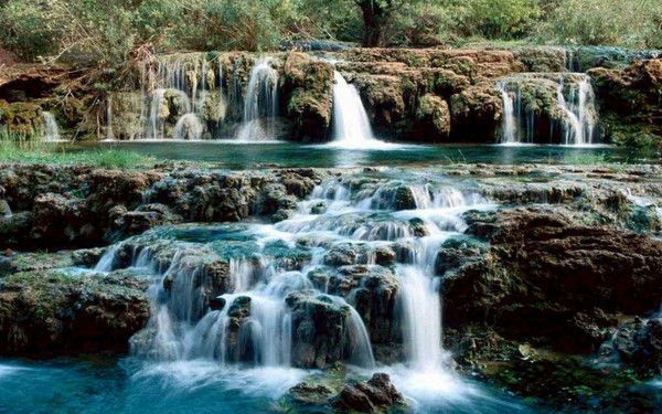 Галина Ильина