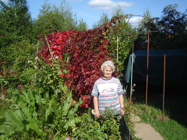 Юлия Клименко