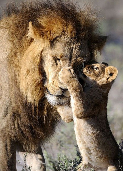 Ирина Суханова