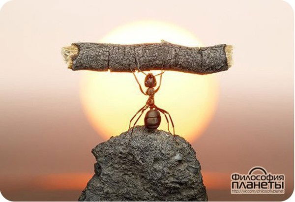 Алла Ногаева