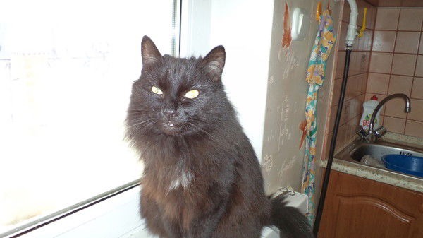 Игорь Томский