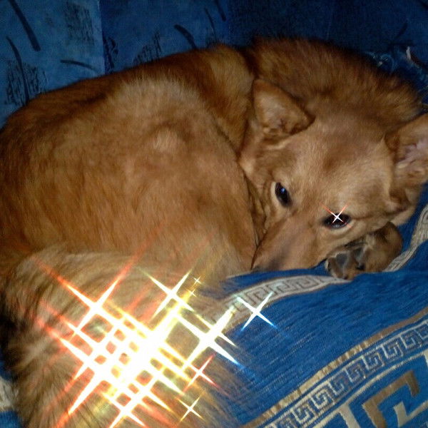 Ирина Виноградова