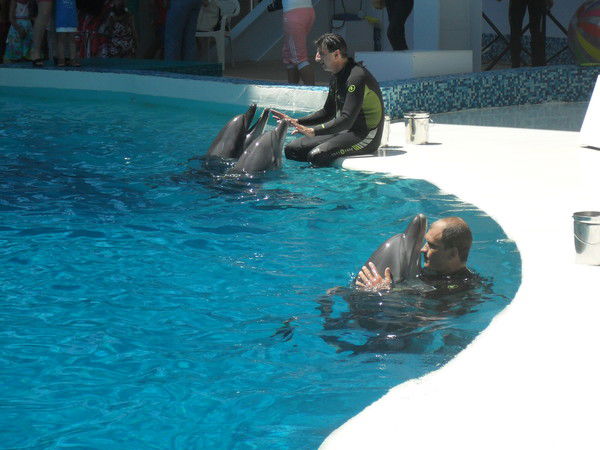 Евгения Федорченко