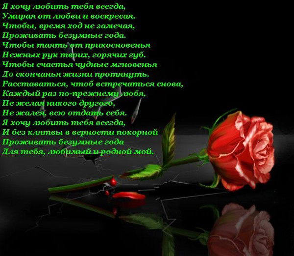 Мария Комиссарова